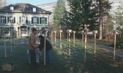 Alexander Stern - Akademie der Bildenden Künste München - bird control