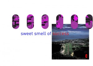 sweet smell of success, inkprint/12, 2002